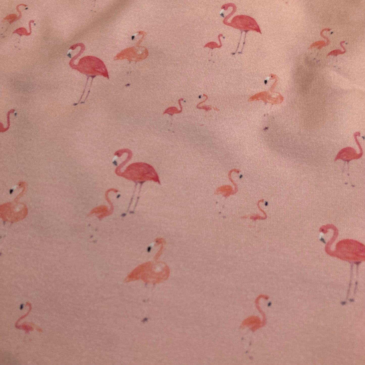 Slab flamingo