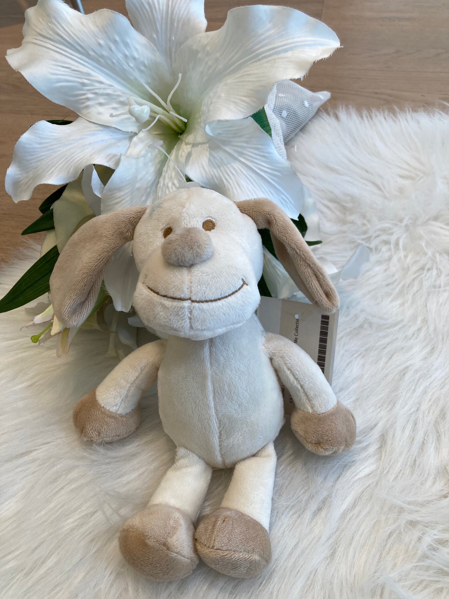Mini knuffel hondje π