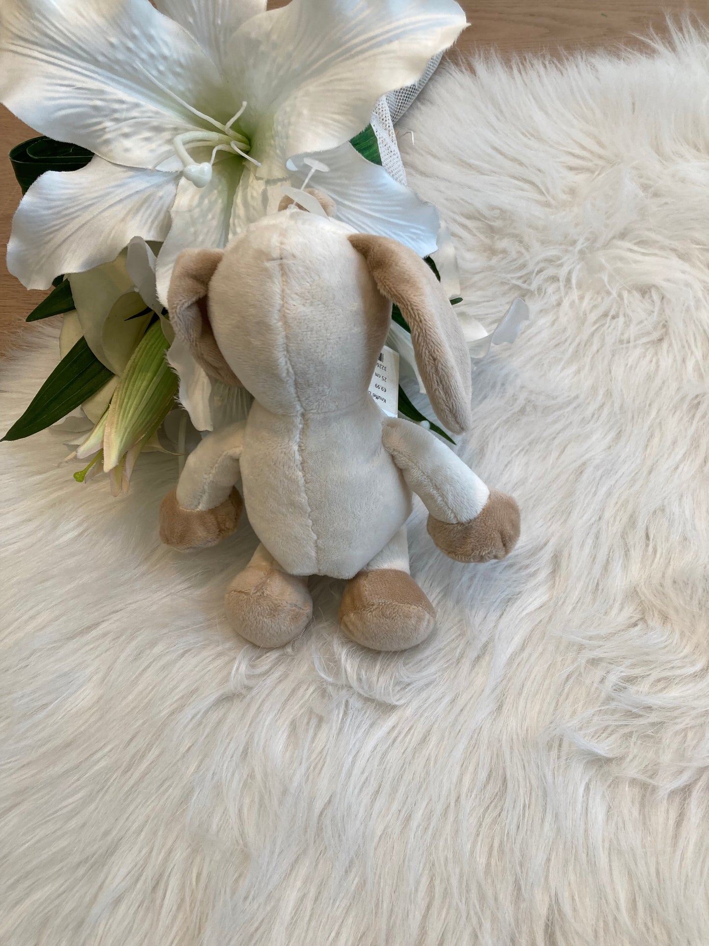 Mini knuffel hondje π