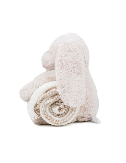 Rabbit And Blanket