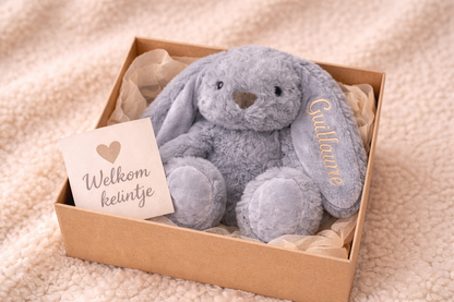 Cloud Bunny met naam | Gepersonaliseerde